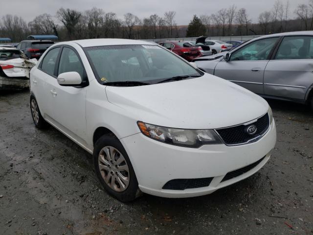 KIA FORTE EX 2010 knafu4a2xa5184192