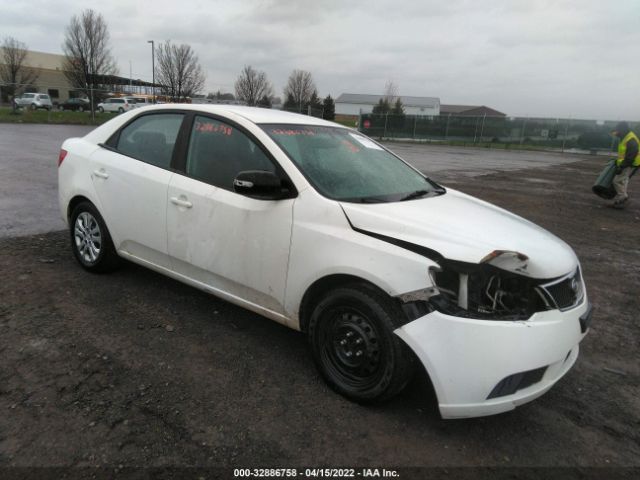 KIA FORTE 2010 knafu4a2xa5187318