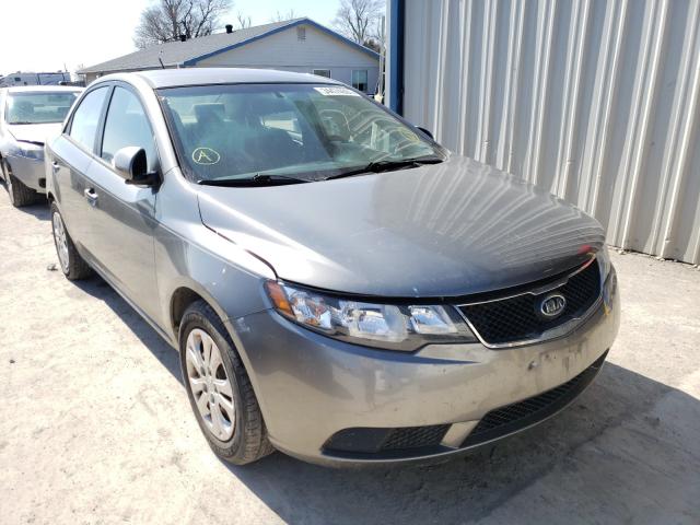 KIA FORTE EX 2010 knafu4a2xa5193345