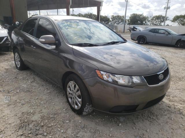 KIA FORTE EX 2010 knafu4a2xa5204408