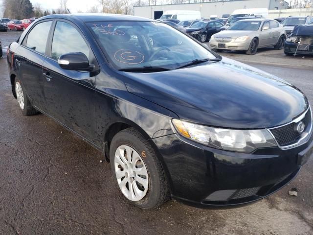 KIA FORTE EX 2010 knafu4a2xa5208068