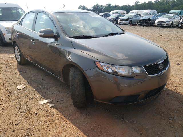 KIA FORTE EX 2010 knafu4a2xa5232855