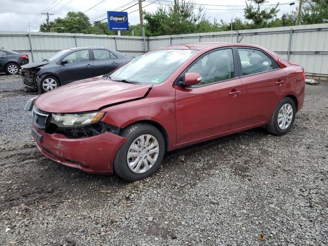 KIA FORTE 2010 knafu4a2xa5238414