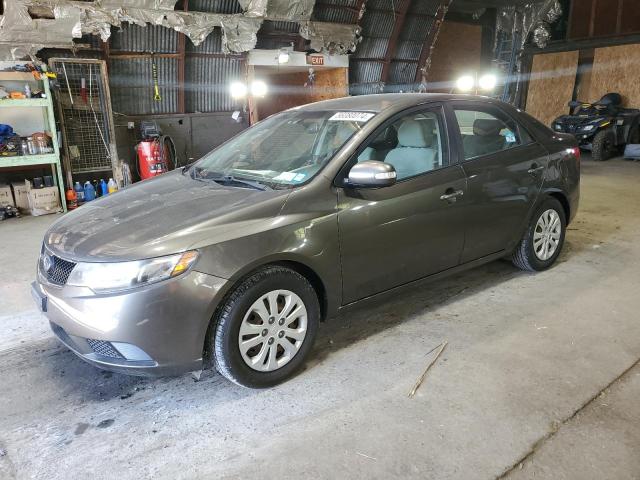 KIA FORTE 2010 knafu4a2xa5249462