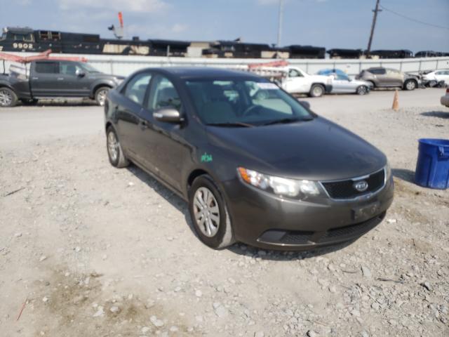 KIA FORTE EX 2010 knafu4a2xa5261370