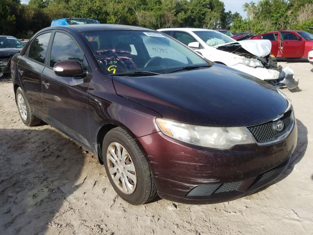 KIA FORTE EX 2010 knafu4a2xa5312222