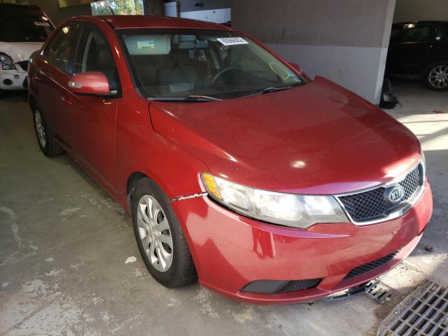 KIA FORTE EX 2010 knafu4a2xa5808590