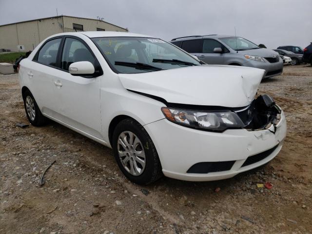 KIA FORTE EX 2010 knafu4a2xa5827608