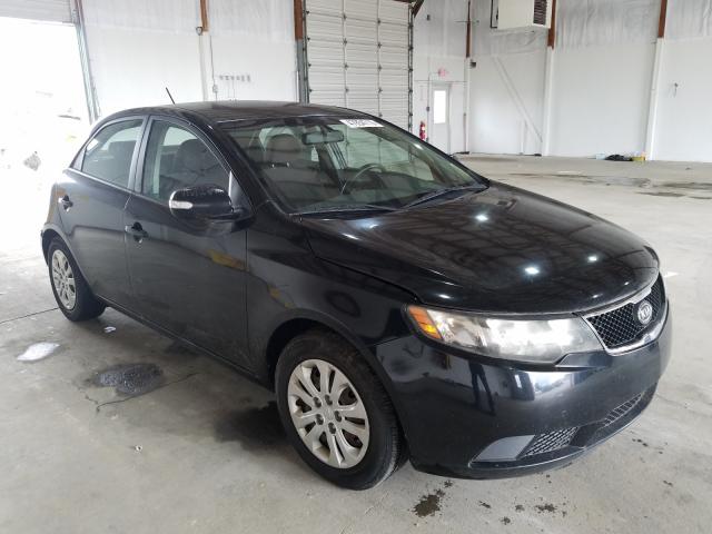 KIA FORTE EX 2010 knafu4a2xa5843114