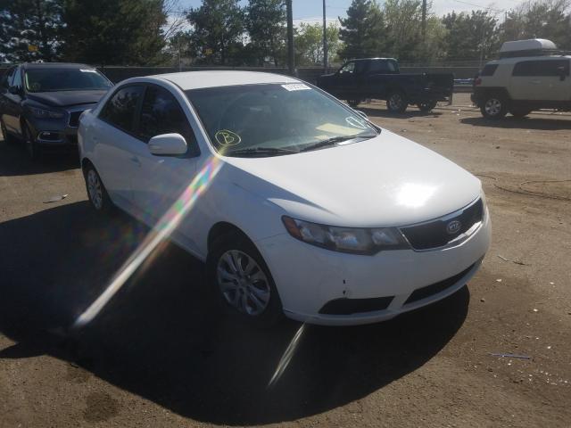 KIA FORTE EX 2010 knafu4a2xa5845123