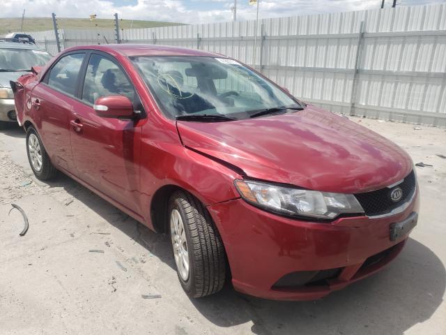 KIA FORTE EX 2010 knafu4a2xa5854775