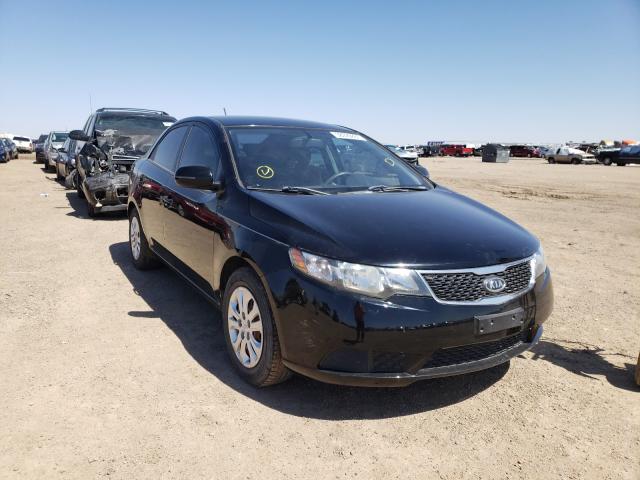 KIA FORTE 2011 knafu4a2xb5359316