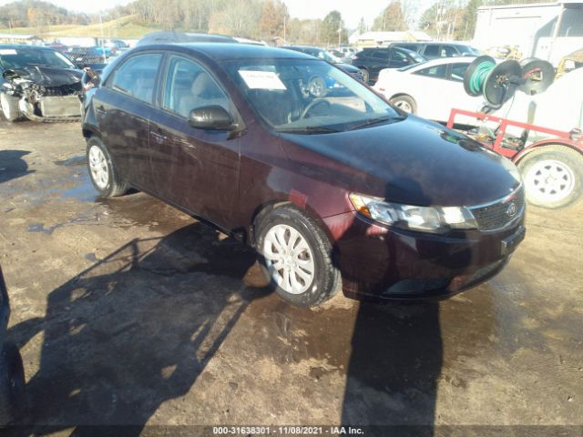 KIA FORTE 2011 knafu4a2xb5368338