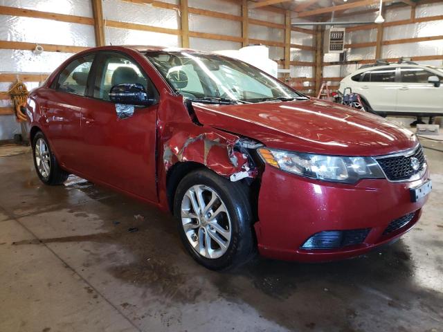 KIA FORTE EX 2011 knafu4a2xb5393062