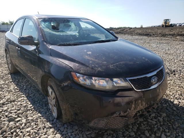 KIA FORTE EX 2011 knafu4a2xb5446018