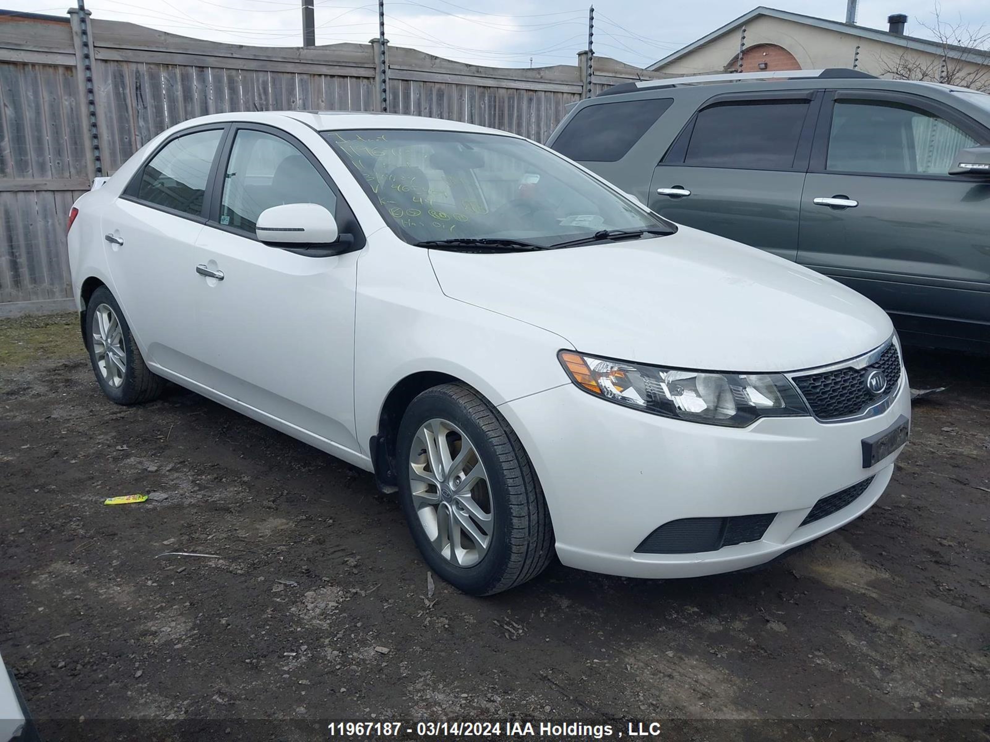 KIA FORTE 2011 knafu4a2xb5465409