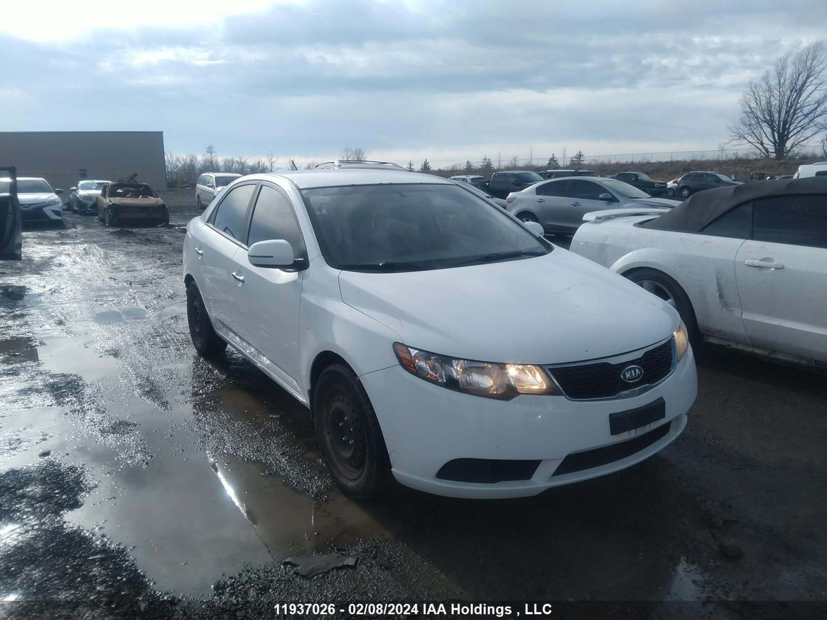 KIA FORTE 2012 knafu4a2xc5534326