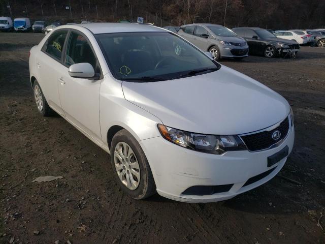 KIA FORTE EX 2012 knafu4a2xc5553586