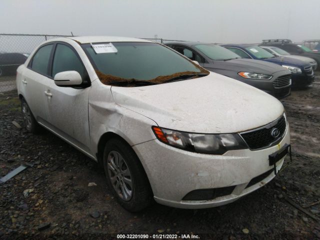 KIA FORTE 2012 knafu4a2xc5586958