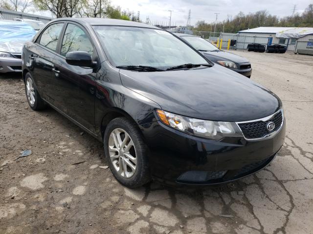 KIA NULL 2012 knafu4a2xc5600101