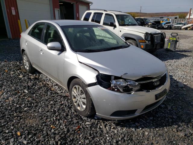 KIA FORTE EX 2012 knafu4a2xc5630652