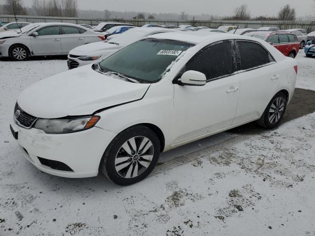 KIA FORTE EX 2013 knafu4a2xd5662387