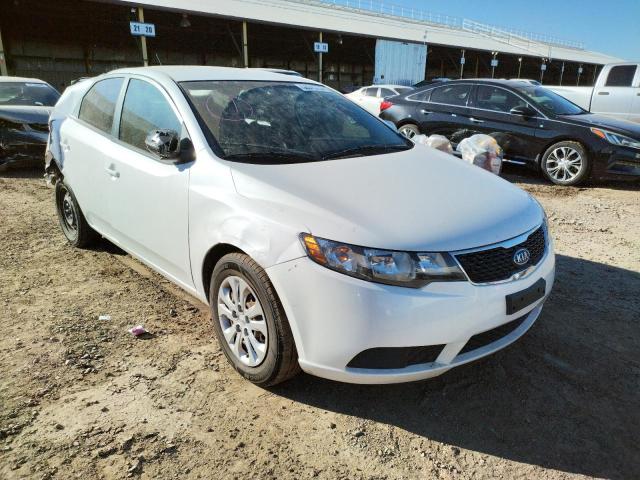 KIA FORTE EX 2013 knafu4a2xd5664270