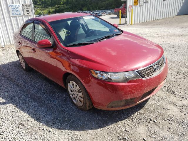 KIA FORTE EX 2013 knafu4a2xd5684471