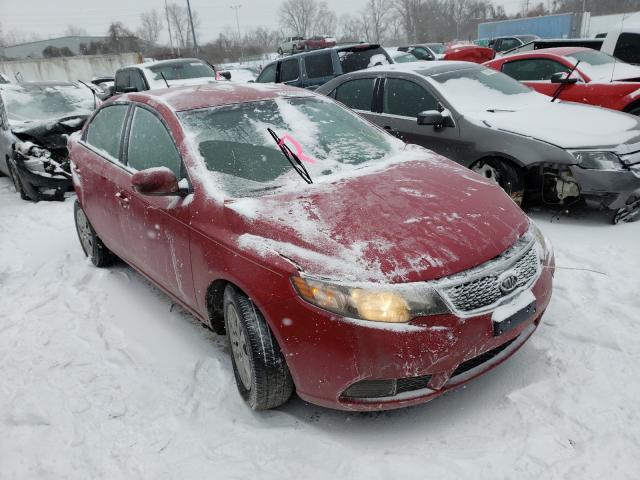 KIA FORTE EX 2013 knafu4a2xd5685572