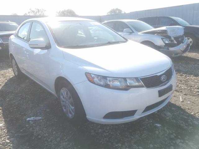 KIA FORTE EX 2013 knafu4a2xd5689685