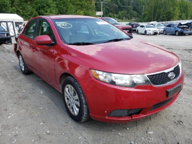 KIA FORTE EX 2013 knafu4a2xd5692649