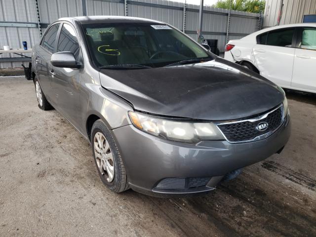 KIA FORTE EX 2013 knafu4a2xd5696913