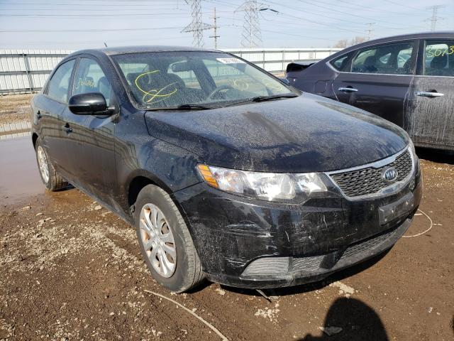 KIA FORTE EX 2013 knafu4a2xd5706517