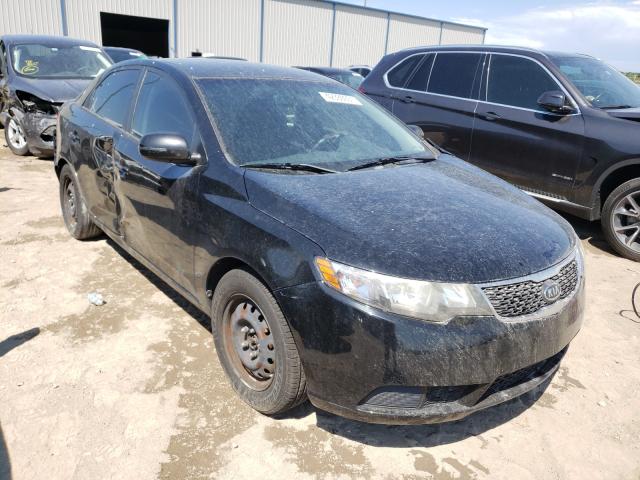 KIA FORTE EX 2013 knafu4a2xd5712916