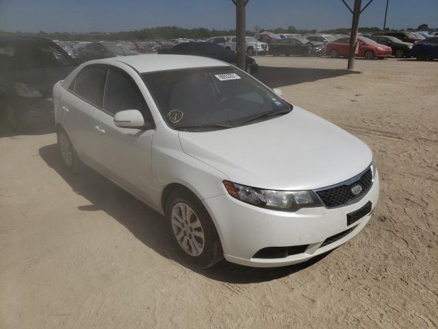 KIA FORTE EX 2013 knafu4a2xd5713547