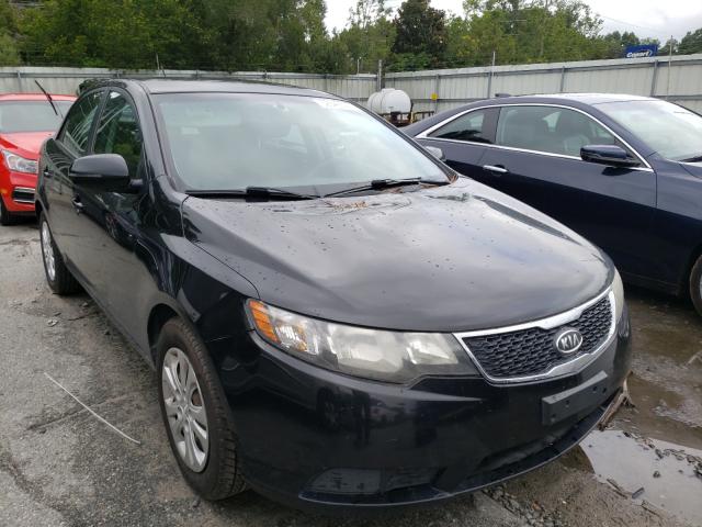 KIA FORTE EX 2013 knafu4a2xd5714018