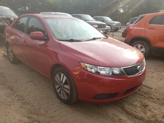 KIA FORTE EX 2013 knafu4a2xd5718585