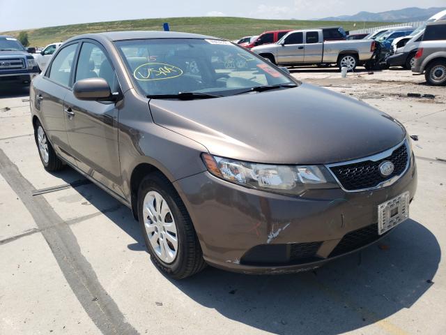 KIA FORTE EX 2013 knafu4a2xd5729179