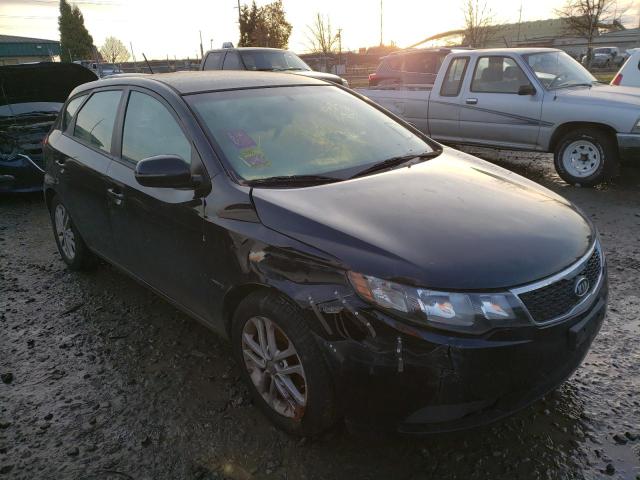 KIA FORTE EX 2011 knafu5a20b5424681