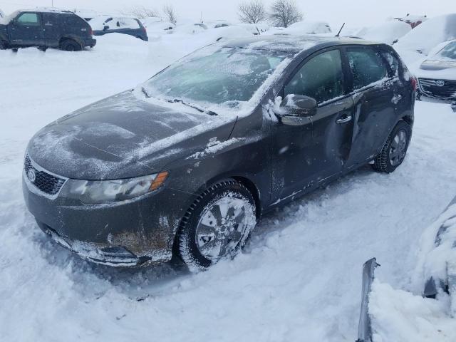 KIA FORTE 2011 knafu5a20b5446650