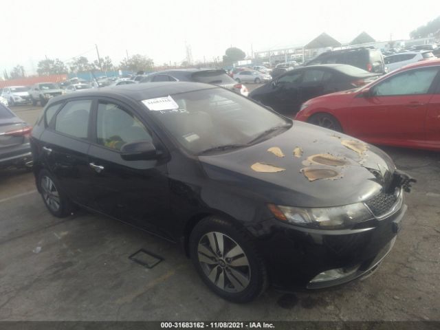 KIA FORTE 5-DOOR 2013 knafu5a20d5727379