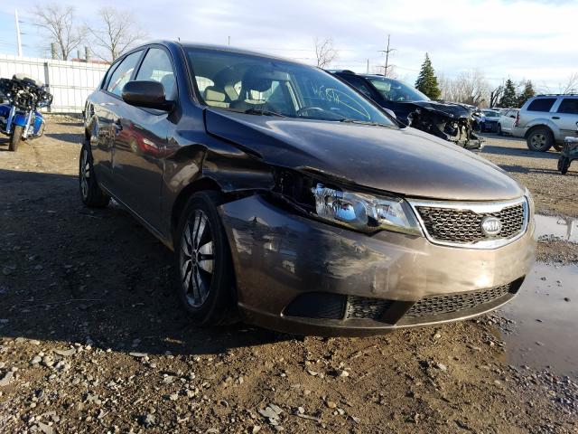 KIA FORTE EX 2013 knafu5a20d5729438