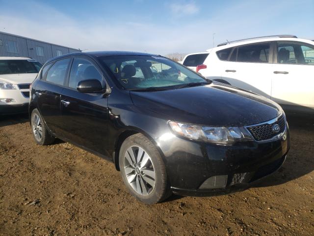 KIA FORTE EX 2013 knafu5a20d5741573