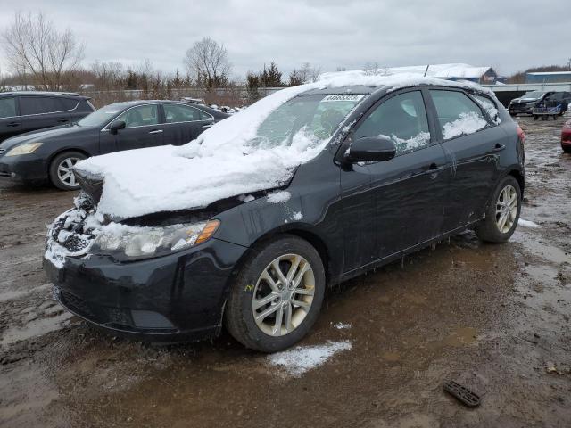 KIA FORTE EX 2011 knafu5a21b5324539