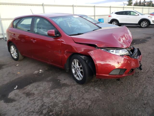 KIA FORTE EX 2011 knafu5a21b5337436