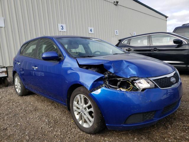 KIA FORTE EX 2012 knafu5a21c5618881