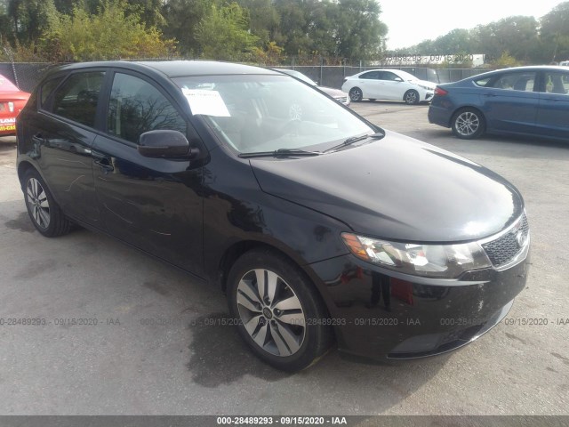 KIA FORTE 5-DOOR 2013 knafu5a21d5742649