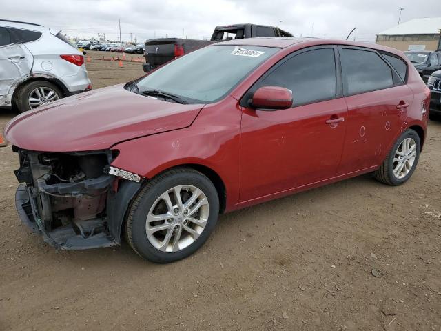 KIA FORTE 2011 knafu5a22b5324324