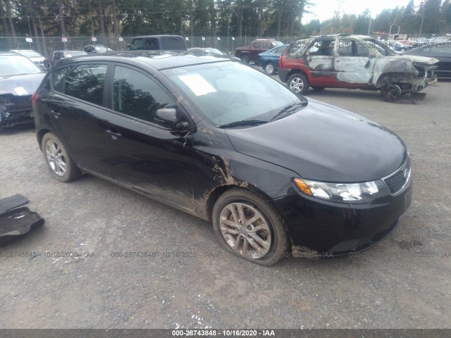 KIA FORTE 5-DOOR 2011 knafu5a22b5336635