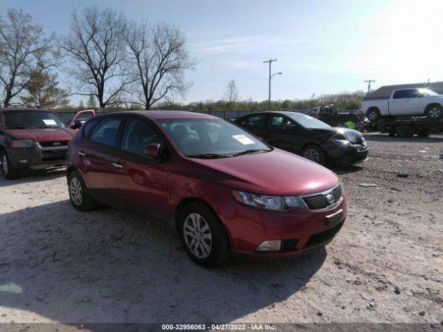 KIA FORTE 5-DOOR 2011 knafu5a22b5423533